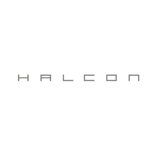 halcon-american.jpg